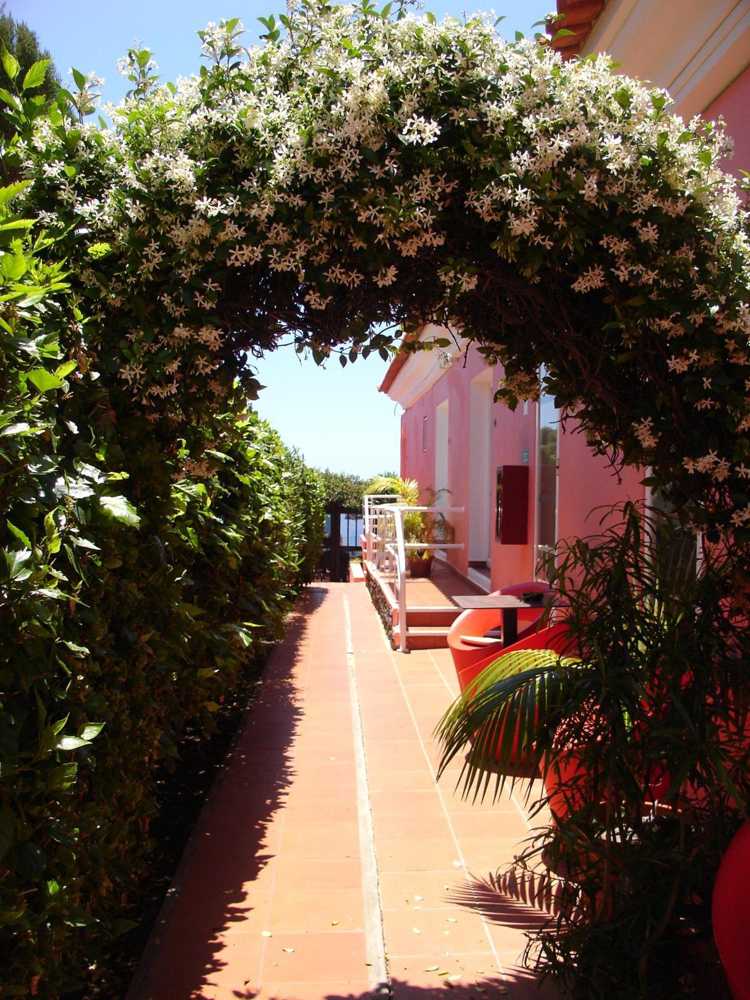 Inn & Art Madeira كانيكو المظهر الخارجي الصورة